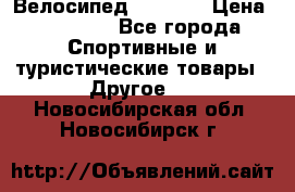 Велосипед Viva A1 › Цена ­ 12 300 - Все города Спортивные и туристические товары » Другое   . Новосибирская обл.,Новосибирск г.